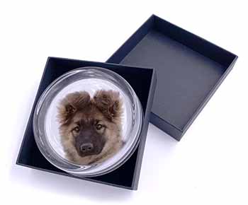 German Shepherd Puppy Glass Paperweight in Gift Box
