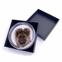 German Shepherd Puppy Glass Paperweight in Gift Box