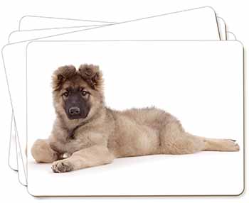 German Shepherd Puppy Picture Placemats in Gift Box