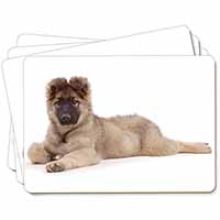 German Shepherd Puppy Picture Placemats in Gift Box