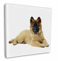 Belgian Shepherd Dog Square Canvas 12"x12" Wall Art Picture Print