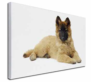 Belgian Shepherd Dog Canvas X-Large 30"x20" Wall Art Print