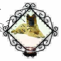 Belgian Shepherd Dog Wrought Iron Wall Art Candle Holder