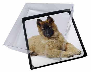 4x Belgian Shepherd Dog Picture Table Coasters Set in Gift Box