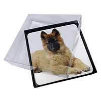4x Belgian Shepherd Dog Picture Table Coasters Set in Gift Box