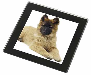 Belgian Shepherd Dog Black Rim High Quality Glass Coaster