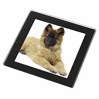 Belgian Shepherd Dog Black Rim High Quality Glass Coaster