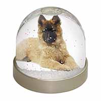 Belgian Shepherd Dog Snow Globe Photo Waterball