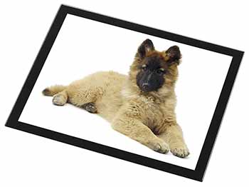 Belgian Shepherd Dog Black Rim High Quality Glass Placemat