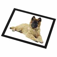 Belgian Shepherd Dog Black Rim High Quality Glass Placemat