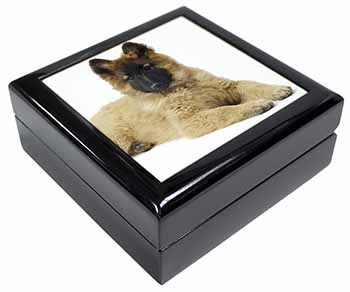 Belgian Shepherd Dog Keepsake/Jewellery Box