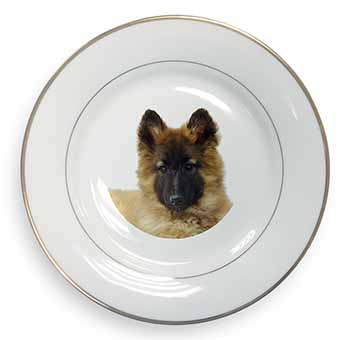 Belgian Shepherd Dog Gold Rim Plate Printed Full Colour in Gift Box