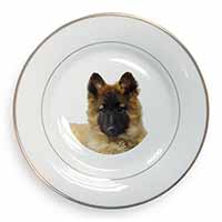 Belgian Shepherd Dog Gold Rim Plate Printed Full Colour in Gift Box