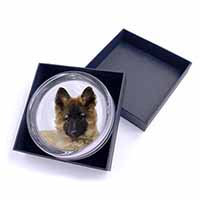 Belgian Shepherd Dog Glass Paperweight in Gift Box