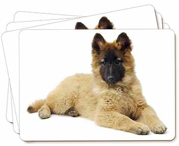Belgian Shepherd Dog Picture Placemats in Gift Box
