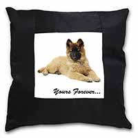 Belgian Tervuren Puppy Dog 