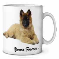 Belgian Tervuren Puppy Dog 