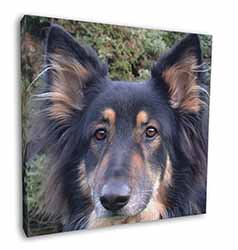 Tri-Colour German Shepherd Square Canvas 12"x12" Wall Art Picture Print