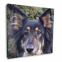 Tri-Colour German Shepherd Square Canvas 12"x12" Wall Art Picture Print