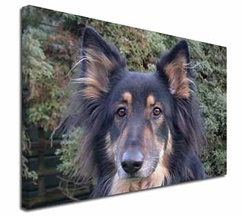 Tri-Colour German Shepherd Canvas X-Large 30"x20" Wall Art Print