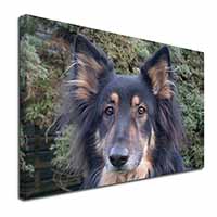 Tri-Colour German Shepherd Canvas X-Large 30"x20" Wall Art Print