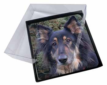 4x Tri-Colour German Shepherd Picture Table Coasters Set in Gift Box