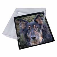 4x Tri-Colour German Shepherd Picture Table Coasters Set in Gift Box