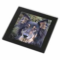 Tri-Colour German Shepherd Black Rim High Quality Glass Coaster