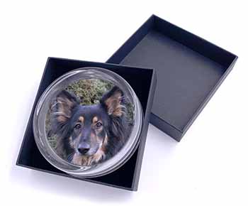 Tri-Colour German Shepherd Glass Paperweight in Gift Box