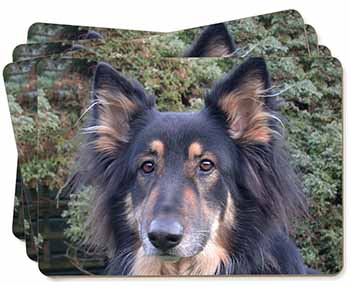 Tri-Colour German Shepherd Picture Placemats in Gift Box