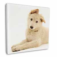 White German Shepherd Square Canvas 12"x12" Wall Art Picture Print