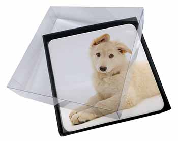 4x White German Shepherd Picture Table Coasters Set in Gift Box