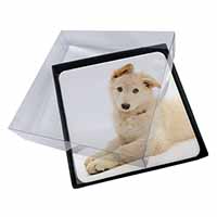 4x White German Shepherd Picture Table Coasters Set in Gift Box