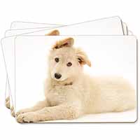 White German Shepherd Picture Placemats in Gift Box
