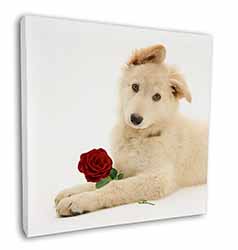 White German Shepherd with Rose Square Canvas 12"x12" Wall Art Picture Print