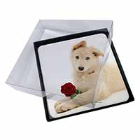 4x White German Shepherd with Rose Picture Table Coasters Set in Gift Box