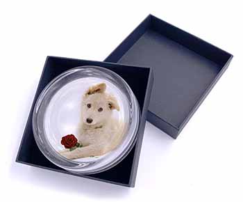 White German Shepherd with Rose Glass Paperweight in Gift Box