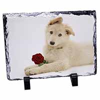 White German Shepherd with Rose, Stunning Photo Slate