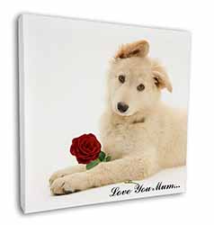 White Shepherd+Rose 