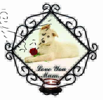 White Shepherd+Rose 