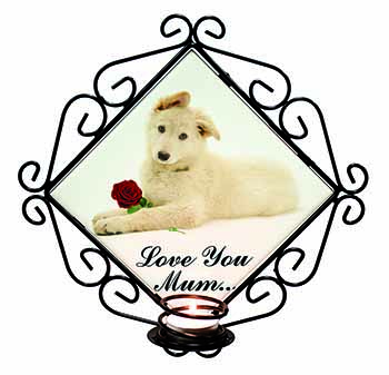 White Shepherd+Rose 