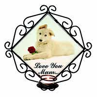 White Shepherd+Rose 