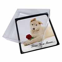 4x White Shepherd+Rose 