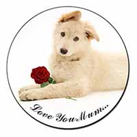 White Shepherd+Rose 