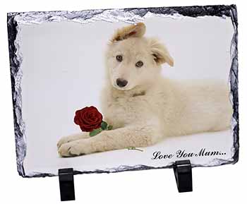 White Shepherd+Rose 