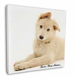 White German Shepherd 