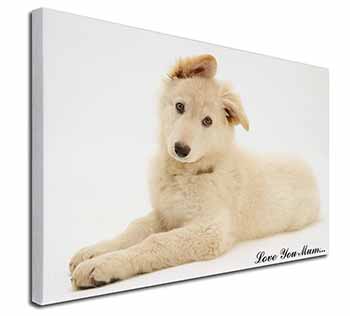 White German Shepherd 