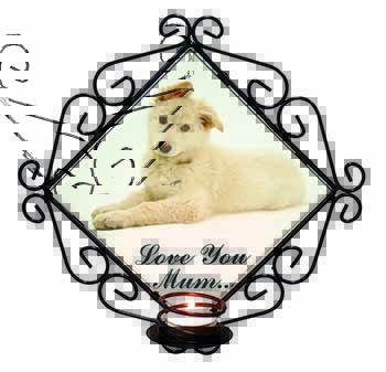 White German Shepherd 