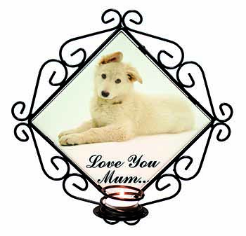 White German Shepherd 