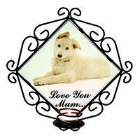 White German Shepherd 